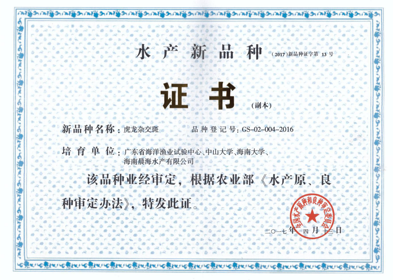 厲害了，我的“虎龍雜交斑”