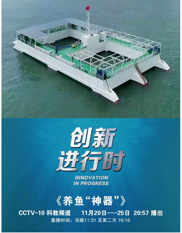風(fēng)再猛、浪再大，都攔不住我養(yǎng)魚的雄心！