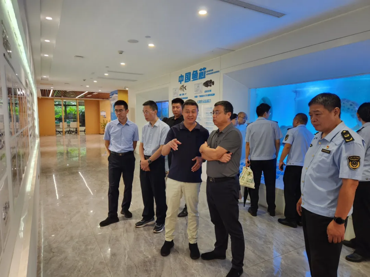 省市場監管局、省知識產權局黨組書記、局長鐵剛到晨海開展知識產權工作調研